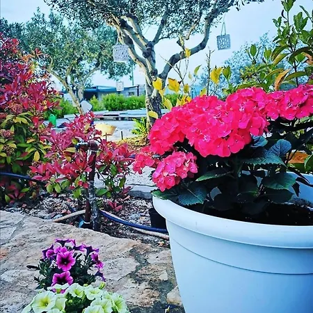 Trullo 4*