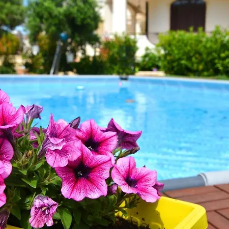 Trullo Affittacamere 4*