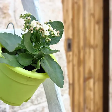 Trullo 게스트하우스