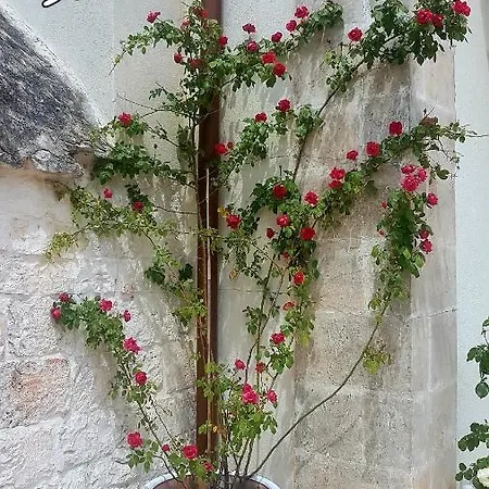 Trullo 게스트하우스 4*