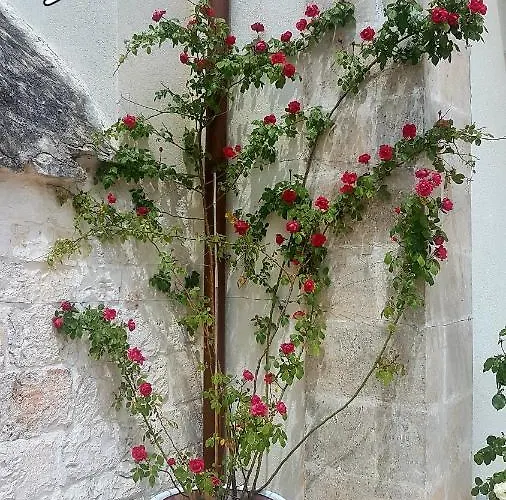 Trullo Maison d'hôtes 4*